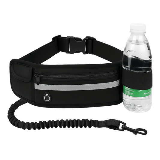 Hands Free Dog Leash